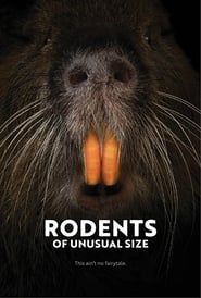 http://kezhlednuti.online/rodents-of-unusual-size-100454