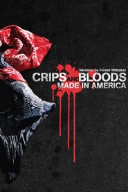 http://kezhlednuti.online/crips-and-bloods-made-in-america-10555