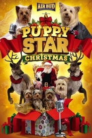 http://kezhlednuti.online/puppy-star-christmas-106562