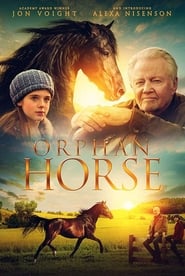 http://kezhlednuti.online/orphan-horse-106739