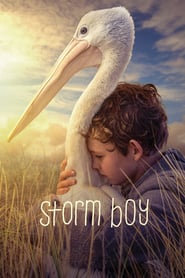 http://kezhlednuti.online/storm-boy-107461