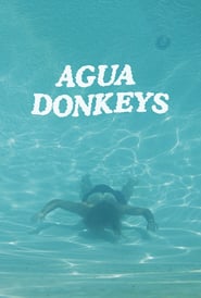 http://kezhlednuti.online/agua-donkeys-108917