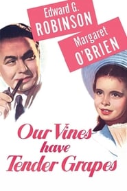 http://kezhlednuti.online/our-vines-have-tender-grapes-108991