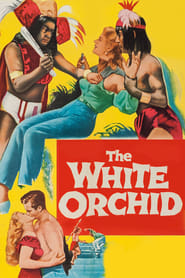 http://kezhlednuti.online/the-white-orchid-112887