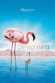 http://kezhlednuti.online/crimson-wing-mystery-of-the-flamingos-the-15361