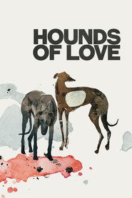 http://kezhlednuti.online/hounds-of-love-15918
