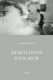 http://kezhlednuti.online/demolition-d-un-mur-22058