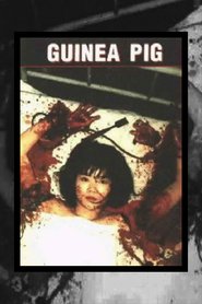 Guinea Pig Special 3