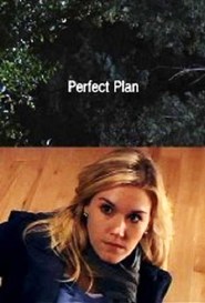 Perfektní plán