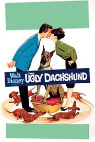 http://kezhlednuti.online/the-ugly-dachshund-24689