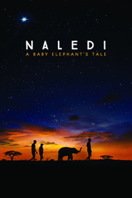 http://kezhlednuti.online/naledi-a-baby-elephant-s-tale-29363
