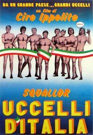 Uccelli d