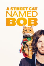 http://kezhlednuti.online/a-street-cat-named-bob-50767