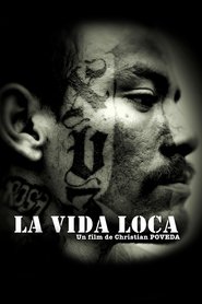 http://kezhlednuti.online/la-vida-loca-53606