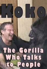 http://kezhlednuti.online/koko-the-gorilla-who-talks-to-people-55461
