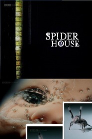 Pavoučí dům