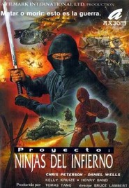 Ninja Project Daredevils