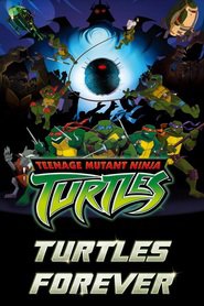 http://kezhlednuti.online/teenage-mutant-ninja-turtles-turtles-forever-8028