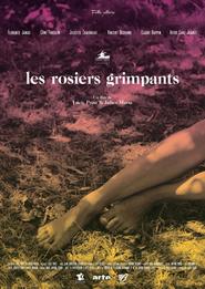 http://kezhlednuti.online/les-roseaux-grimpants-87293