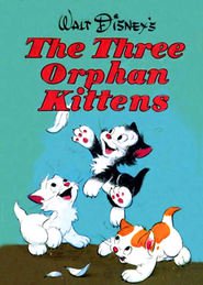 http://kezhlednuti.online/three-orphan-kittens-93483