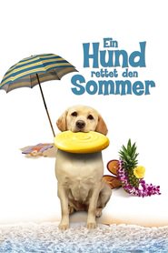 http://kezhlednuti.online/the-dog-who-saved-summer-93621
