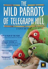 http://kezhlednuti.online/the-wild-parrots-of-telegraph-hill-94563