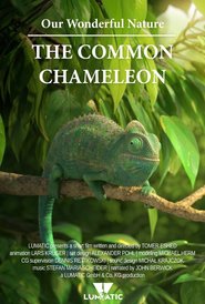 http://kezhlednuti.online/our-wonderful-nature-the-common-chameleon-96063