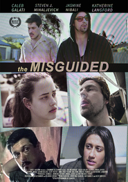 http://kezhlednuti.online/the-misguided-98051