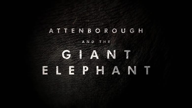 David Attenborough: Slon jménem Jumbo