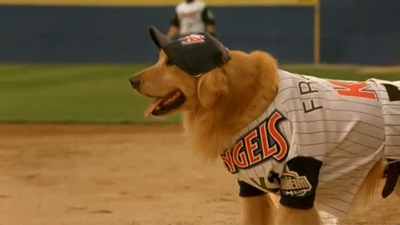 Buddy - hvězda baseballu