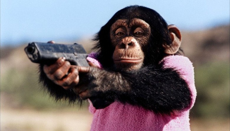 Šimpanz Mookie