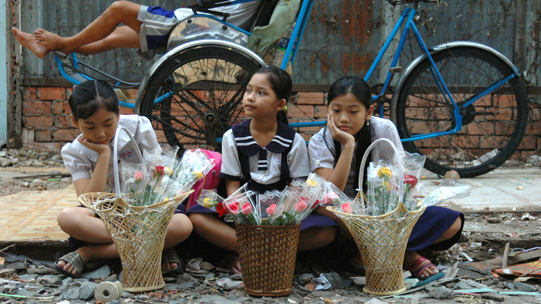 Cú và chim se sẻ