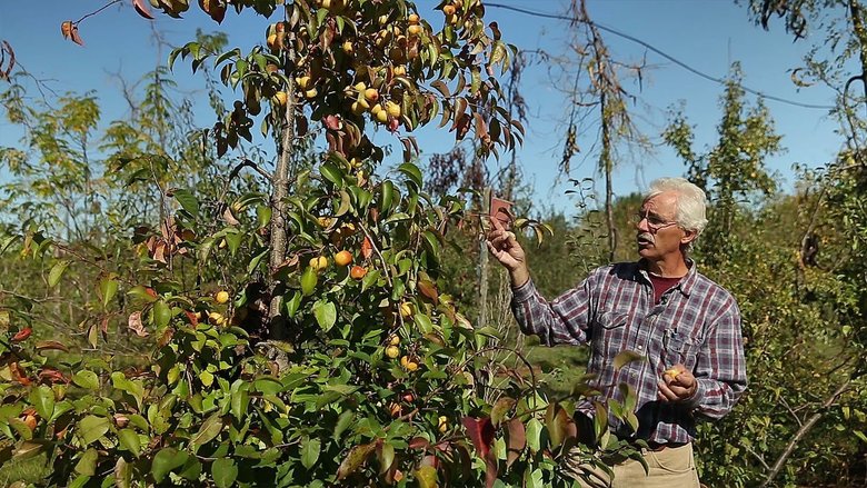 The Permaculture Orchard: Beyond Organic
