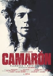 http://kezhlednuti.online/camaron-flamenco-y-revolucion-101048