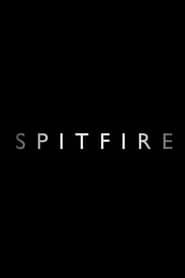 http://kezhlednuti.online/spitfire-101605