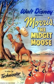 http://kezhlednuti.online/morris-the-midget-moose-102093