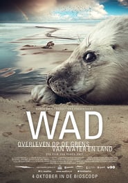 http://kezhlednuti.online/wad-overleven-op-de-grens-van-water-en-land-104729