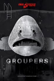 http://kezhlednuti.online/groupers-105311