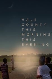 http://kezhlednuti.online/hale-county-this-morning-this-evening-107426
