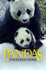 http://kezhlednuti.online/pandas-the-journey-home-107640