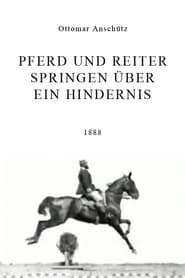 http://kezhlednuti.online/pferd-und-reiter-springen-uber-ein-hindernis-107732