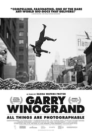 http://kezhlednuti.online/garry-winogrand-all-things-are-photographable-108721