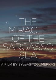 http://kezhlednuti.online/the-miracle-of-the-sargasso-sea-109575