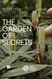 http://kezhlednuti.online/the-garden-of-secrets-111495