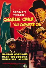 http://kezhlednuti.online/charlie-chan-in-the-chinese-cat-112713