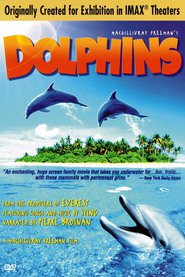 http://kezhlednuti.online/dolphins-13772