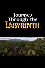 http://kezhlednuti.online/journey-through-the-labyrinth-22228