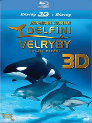 http://kezhlednuti.online/delfini-a-velryby-3d-tulaci-oceanu-29188