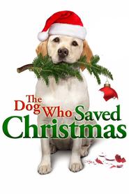 http://kezhlednuti.online/dog-who-saved-christmas-the-29195