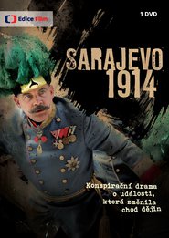 http://kezhlednuti.online/sarajevo-1914-33401